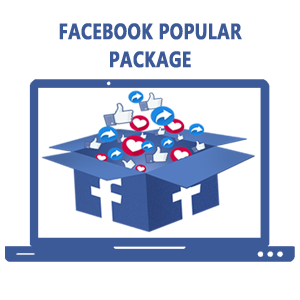 facebook likes package