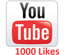 1000 YouTube Likes