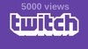 5000 Twitch Views