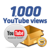 1000 Youtube Views